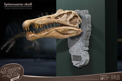 Spinosaurus Head Skull – Star Ace Toys Ltd. – ActionFigure Brasil — close