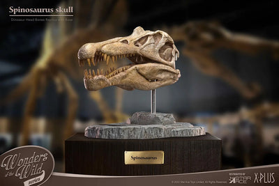 Spinosaurus Head Skull – Star Ace Toys Ltd. – ActionFigure Brasil — embalagem