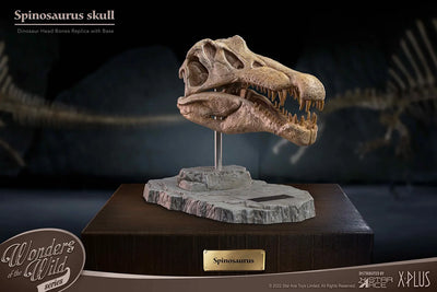 Spinosaurus Head Skull – Star Ace Toys Ltd. – ActionFigure Brasil — detalhe do produto