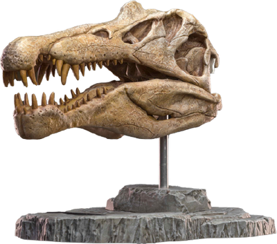 Spinosaurus Head Skull – Star Ace Toys Ltd. – ActionFigure Brasil — embalagem