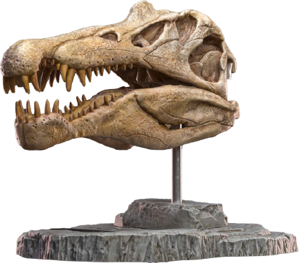Spinosaurus Head Skull – Star Ace Toys Ltd. – ActionFigure Brasil