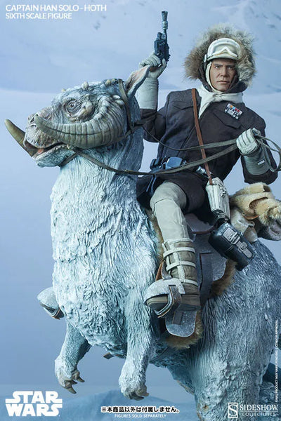 Star Wars 1/6 Scale Figure - Heroes of Rebellion: Han Solo (Hoth Version)ㅤ – Sideshow Collectibles – ActionFigureBrasil — iluminação de estúdio