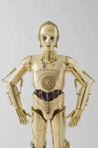 Star Wars - C-3PO - 12 Perfect Model - Chogokin - 1/6 (Bandai, Sideshow Collectibles)ㅤ – Bandai – ActionFigure Brasil