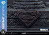 Superman - LIMITED EDITION: TBD (Standard Version) (Pré-venda)