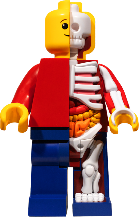 Supersized Micro Anatomic (Junior) – Mighty Jaxx – ActionFigure Brasil