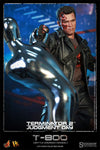 T-800 (Battle Damaged) (Collector Edition, Limited Edition) (Mms002)