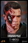 T-800 (Battle Damaged) (Collector Edition, Limited Edition) (Mms002)