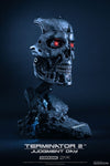 T-800 Endoskeleton (Expresso)