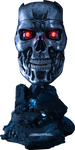 T-800 Endoskeleton (Expresso)