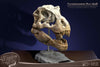 T-Rex Head Skull