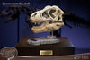 T-Rex Head Skull