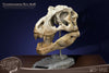 T-Rex Head Skull