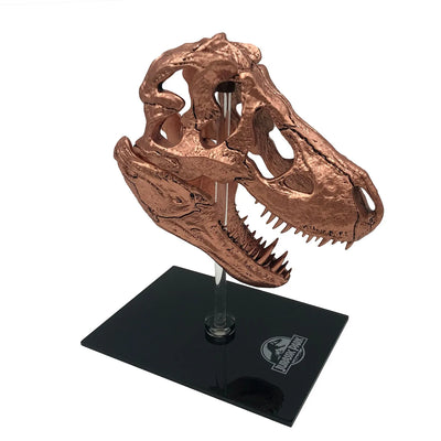 T-Rex Skull – Factory Entertainment – ActionFigure Brasil — acessórios