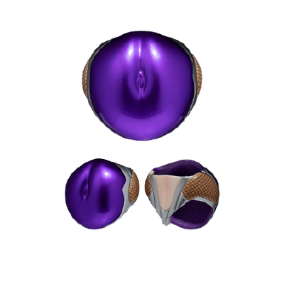 Taimanin Asagi - Character's Selection - Second Axe Type Hentai Action - Igawa Asagi Abdominal Optional Parts - Metallic Color ver. (Native, Second Axe) [Shop Exclusive]ㅤ – Native,Second Axe – ActionFigure Brasil