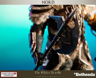 The Elder Scrolls Online - Nord 1/6 Statueㅤ – Gantaku – ActionFigure Brasil — embalagem