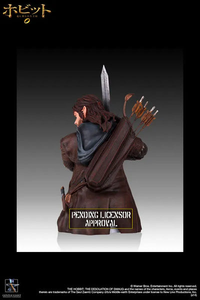 "The Hobbit: The Desolation of Smaug" Mini Bust Kiliㅤ – Puella Magi Madoka Magica – ActionFigureBrasil — embalagem