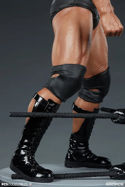 The Rock - LIMITED EDITION: 600 – PCS – ActionFigure Brasil — acessórios