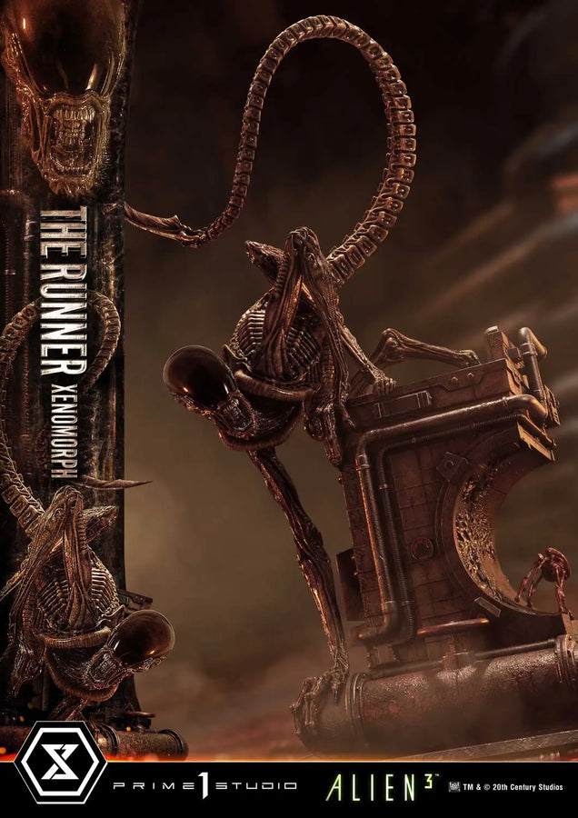 THE RUNNER XENOMORPH (Regular Version) Alien 3 (Film) – Prime1Studio – ActionFigure Brasil
