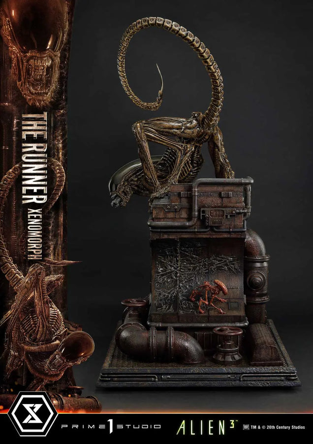 THE RUNNER XENOMORPH (Regular Version) Alien 3 (Film) – Prime1Studio – ActionFigure Brasil