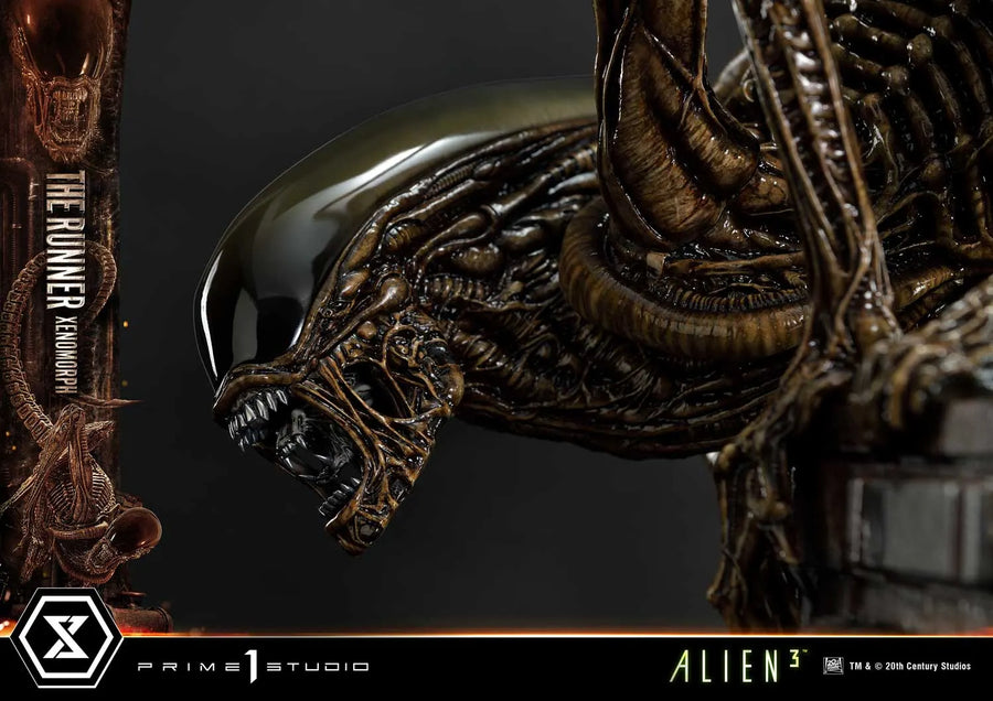 THE RUNNER XENOMORPH (Regular Version) Alien 3 (Film) – Prime1Studio – ActionFigure Brasil