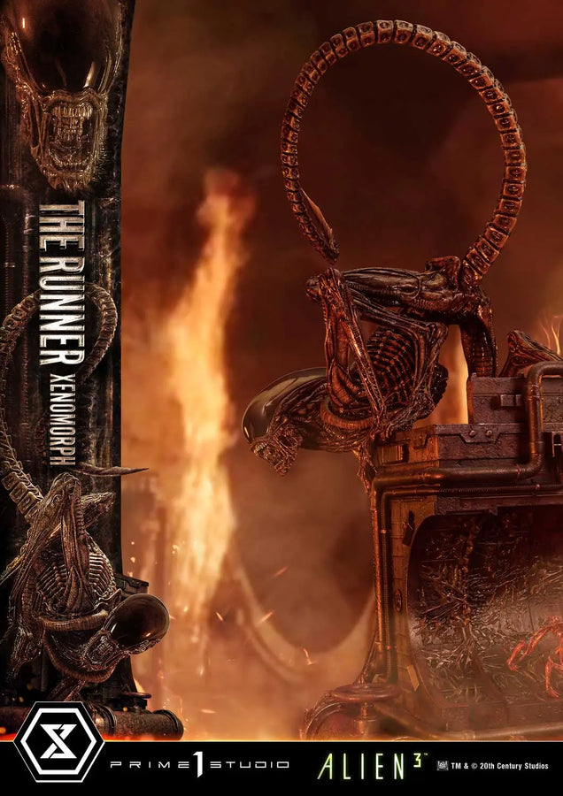 THE RUNNER XENOMORPH (Regular Version) Alien 3 (Film) – Prime1Studio – ActionFigure Brasil