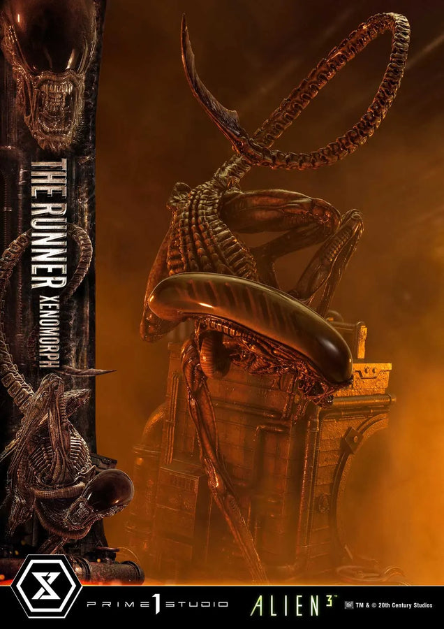 THE RUNNER XENOMORPH (Regular Version) Alien 3 (Film) – Prime1Studio – ActionFigure Brasil