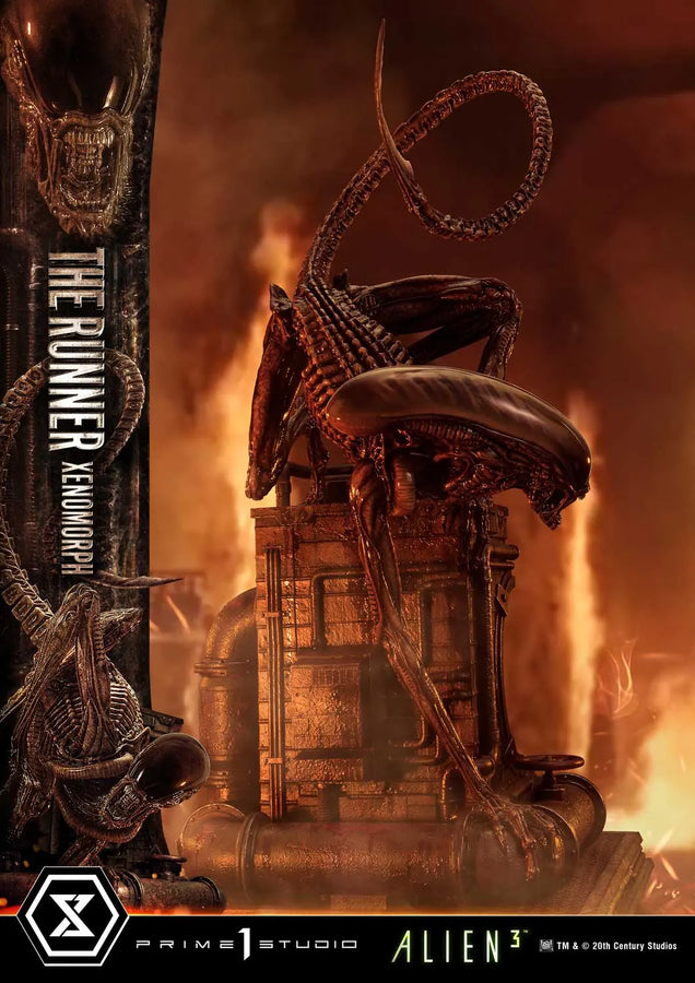 THE RUNNER XENOMORPH (Regular Version) Alien 3 (Film) – Prime1Studio – ActionFigure Brasil