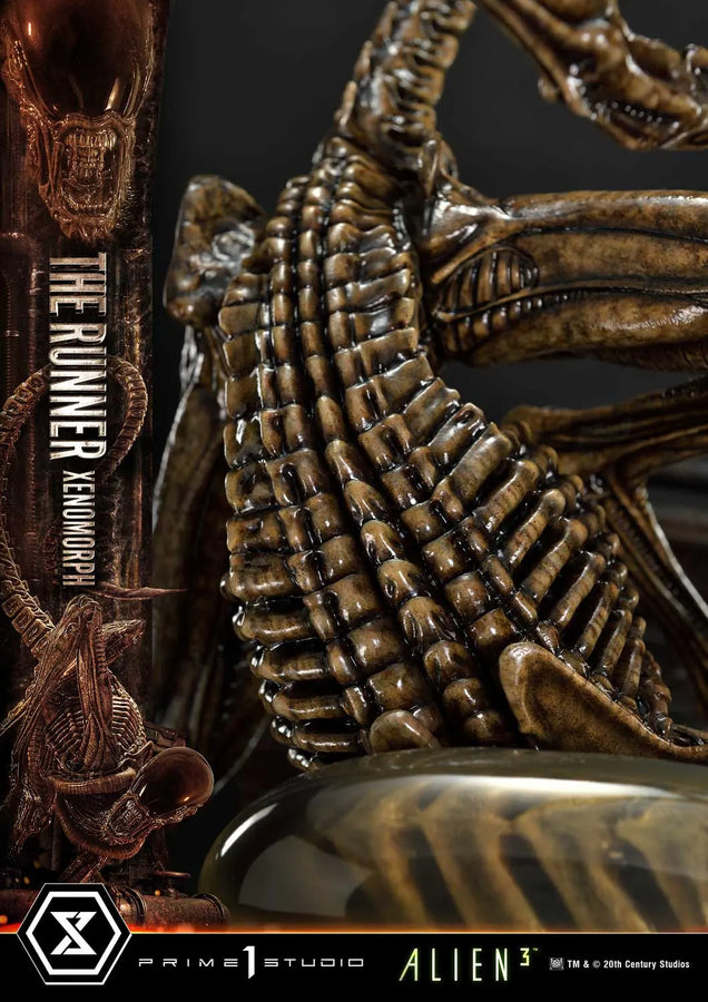 THE RUNNER XENOMORPH (Regular Version) Alien 3 (Film) – Prime1Studio – ActionFigure Brasil