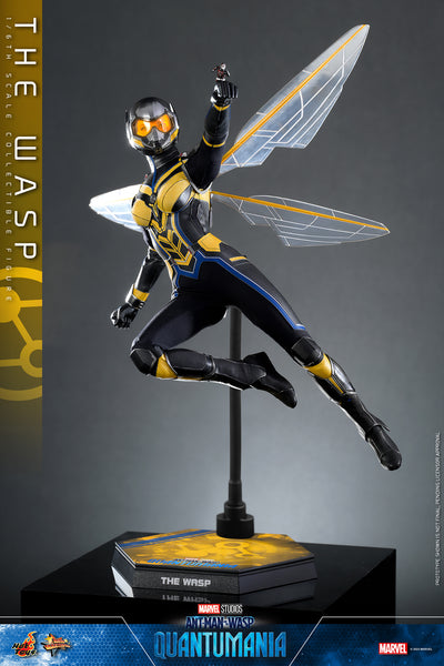 The Wasp [Pronta Entrega]
