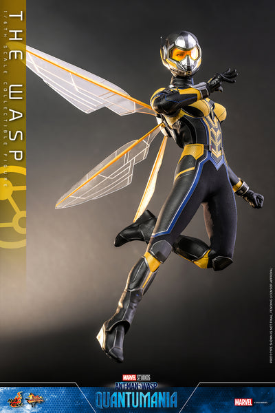 The Wasp [Pronta Entrega]