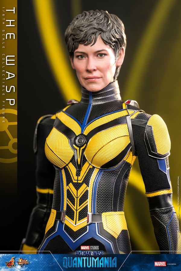 The Wasp [Pronta Entrega]