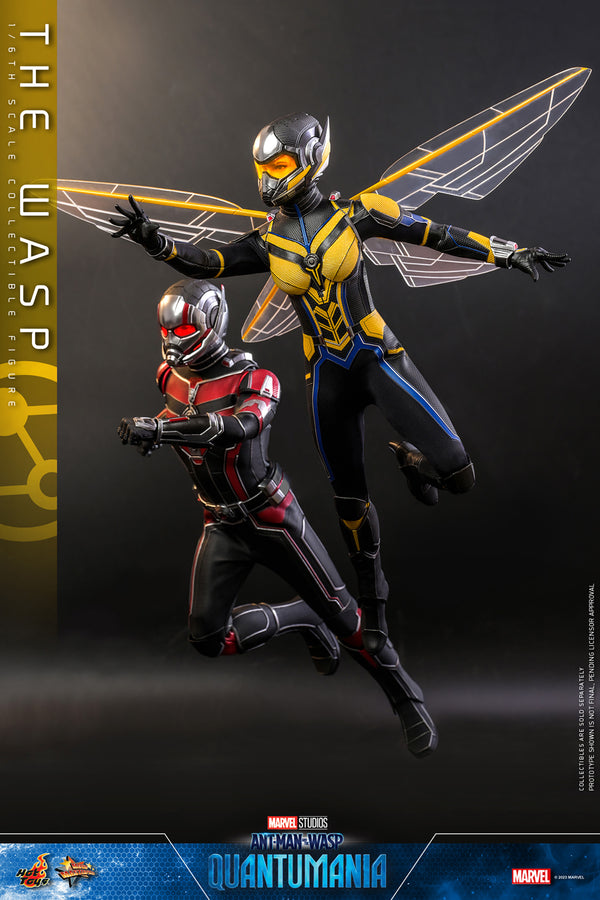 The Wasp [Pronta Entrega]