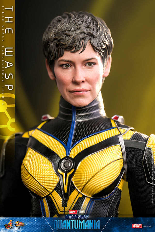 The Wasp [Pronta Entrega]
