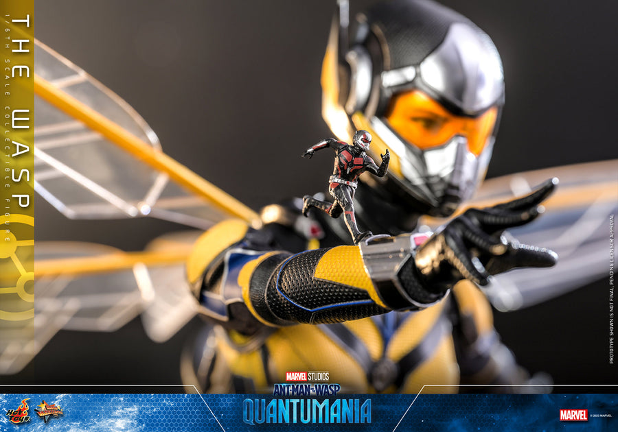 The Wasp [Pronta Entrega]