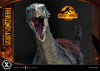 Therizinosaurus Final Battle (Bonus Version) - LIMITED EDITION: 100