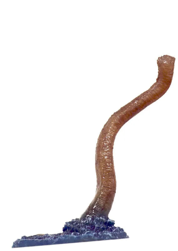 Toho Kaiju Collection 