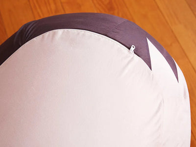 Touken Ranbu -Hanamaru- - Kashuu Kiyomitsu - Mochi Puchi Marukko Sofa Cushion (FuRyu) [Shop Exclusive]ㅤ – FuRyu – ActionFigureBrasil — embalagem