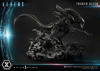 Tusked Alien (Bonus Version) Aliens (Comics) – Prime1Studio – ActionFigure Brasil
