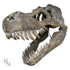 Tyrannosaurus Rex Large Skull Wall Decor - ActionFigure Brasil