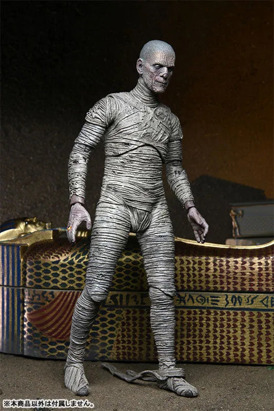 Universal Monster / The Mummy: Imhotep 7 Inch Action Figure Color verㅤ – NECA – ActionFigureBrasil
