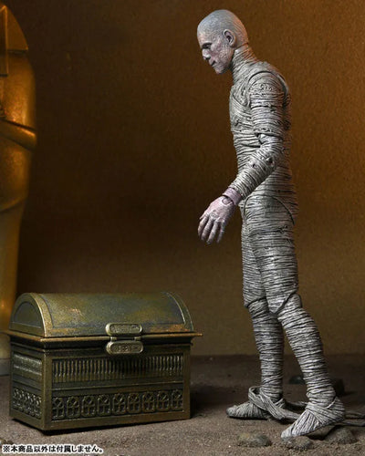 Universal Monster / The Mummy The Mummy: 7 Inch Action Figure Accessory Packㅤ – NECA – ActionFigureBrasil — detalhe do produto