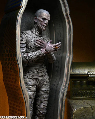 Universal Monster / The Mummy The Mummy: 7 Inch Action Figure Accessory Packㅤ – NECA – ActionFigureBrasil — acessórios