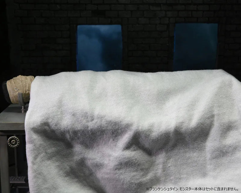 Universal Monsters / Frankenstein: 7 Inch Action Figure Accessory Packㅤ – Neca – ActionFigure Brasil