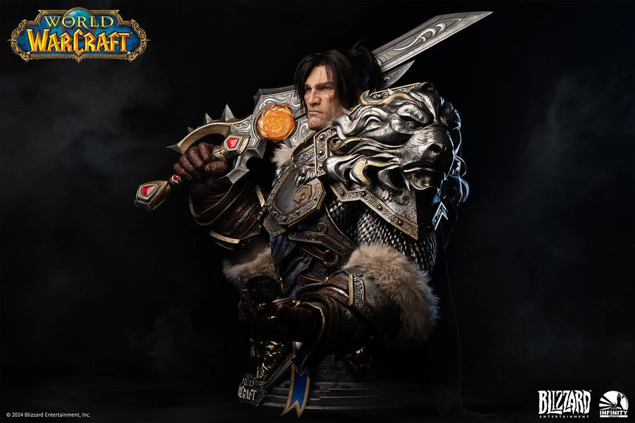 Varian Wrynn - LIMITED EDITION: 398 – Infinity Studio – ActionFigure Brasil