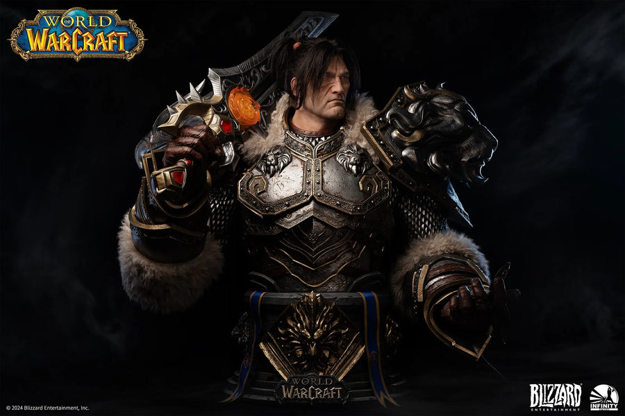 Varian Wrynn - LIMITED EDITION: 398 – Infinity Studio – ActionFigure Brasil