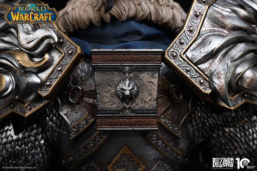 Varian Wrynn - LIMITED EDITION: TBD – Infinity Studio – ActionFigure Brasil