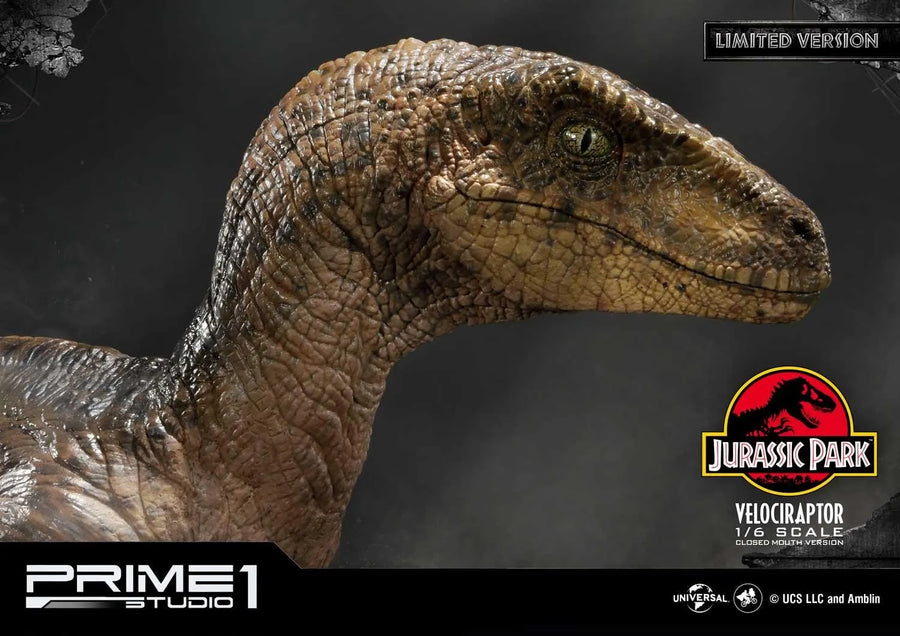 Velociraptor (Close Mouth Edition) Jurassic Park (Film) – Prime1Studio – ActionFigure Brasil