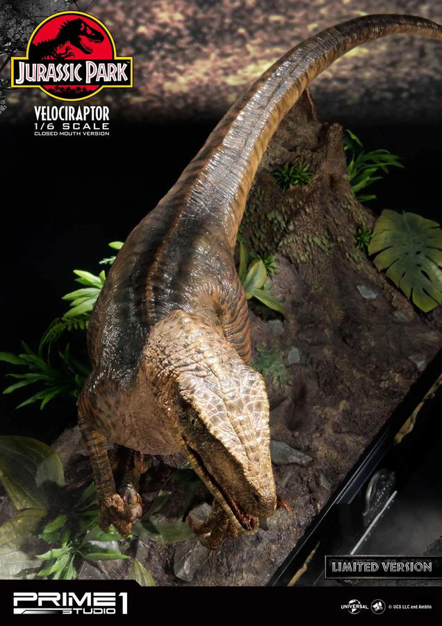 Velociraptor (Close Mouth Edition) Jurassic Park (Film) – Prime1Studio – ActionFigure Brasil