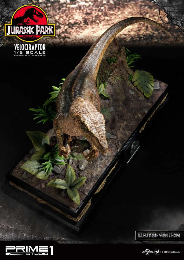 Velociraptor (Close Mouth Edition) Jurassic Park (Film) – Prime1Studio – ActionFigure Brasil