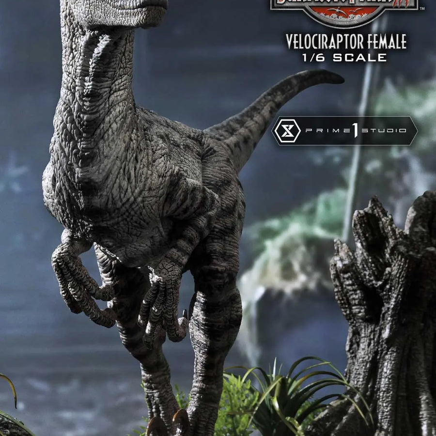 Velociraptor Female (Bonus Version) Jurassic Park III (Film) – Prime1Studio – ActionFigure Brasil
